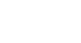 Insect Screen