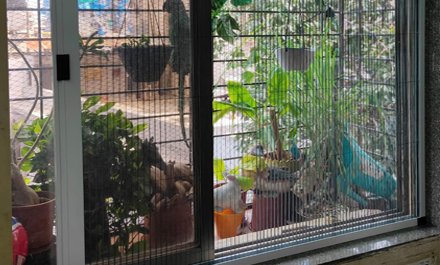Window Insect Screen 